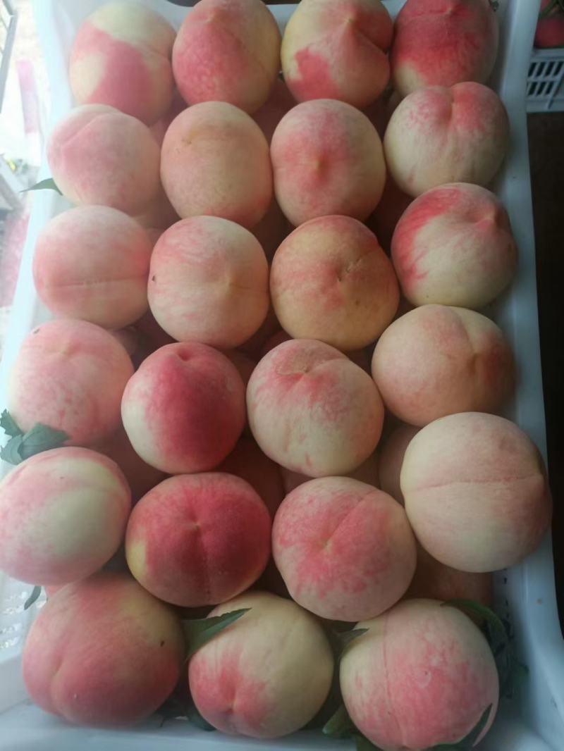 大久保大量出售