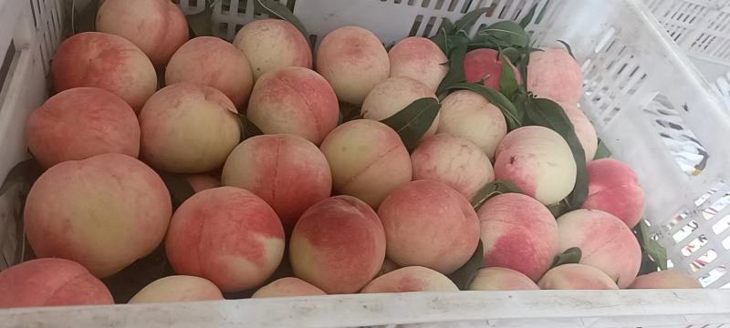 大久保大量出售