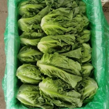 意大利生菜，颗型好，无干边，质量保证，放心选购