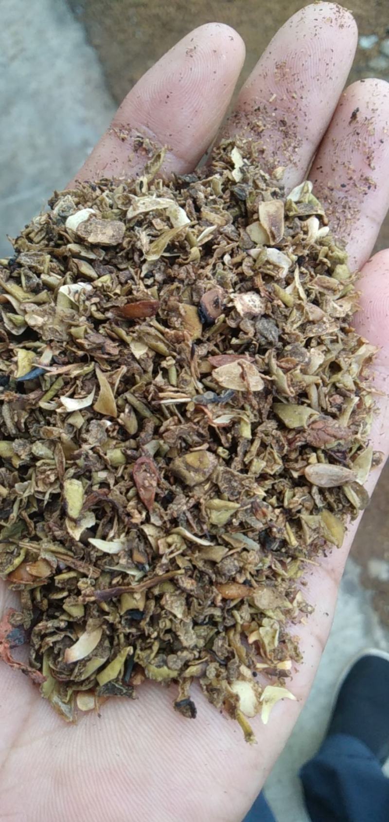 豆皮料大量生产中