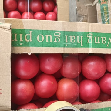 精品硬粉西红柿