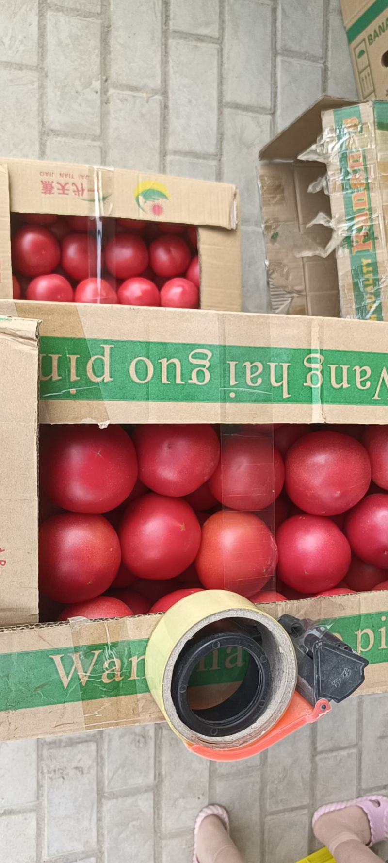 精品硬粉西红柿
