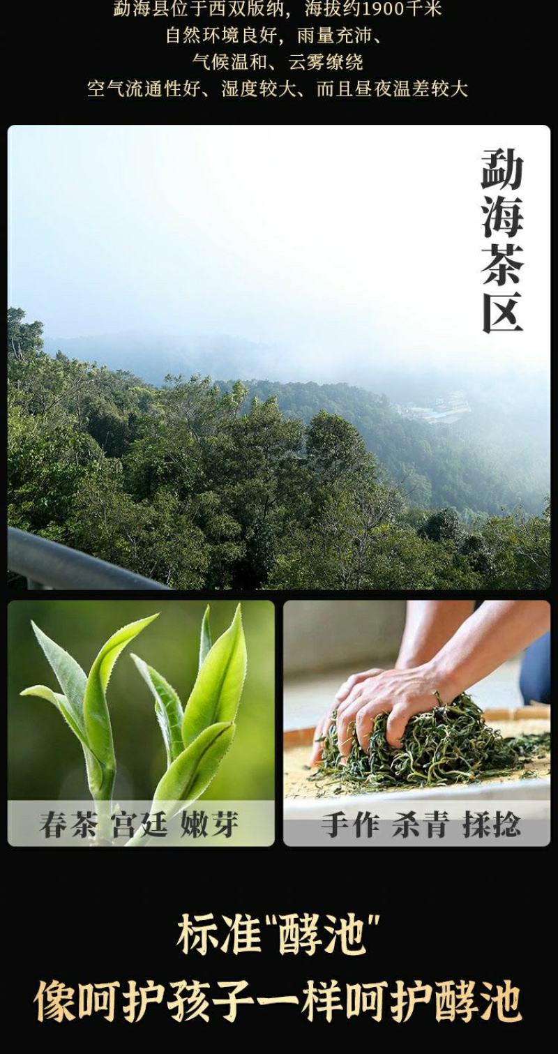 云南勐海古树普洱茶宫廷熟茶散茶金芽1000g盒装陈香十