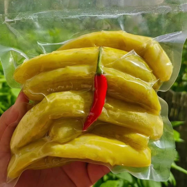 高山农家腌黄瓜批发