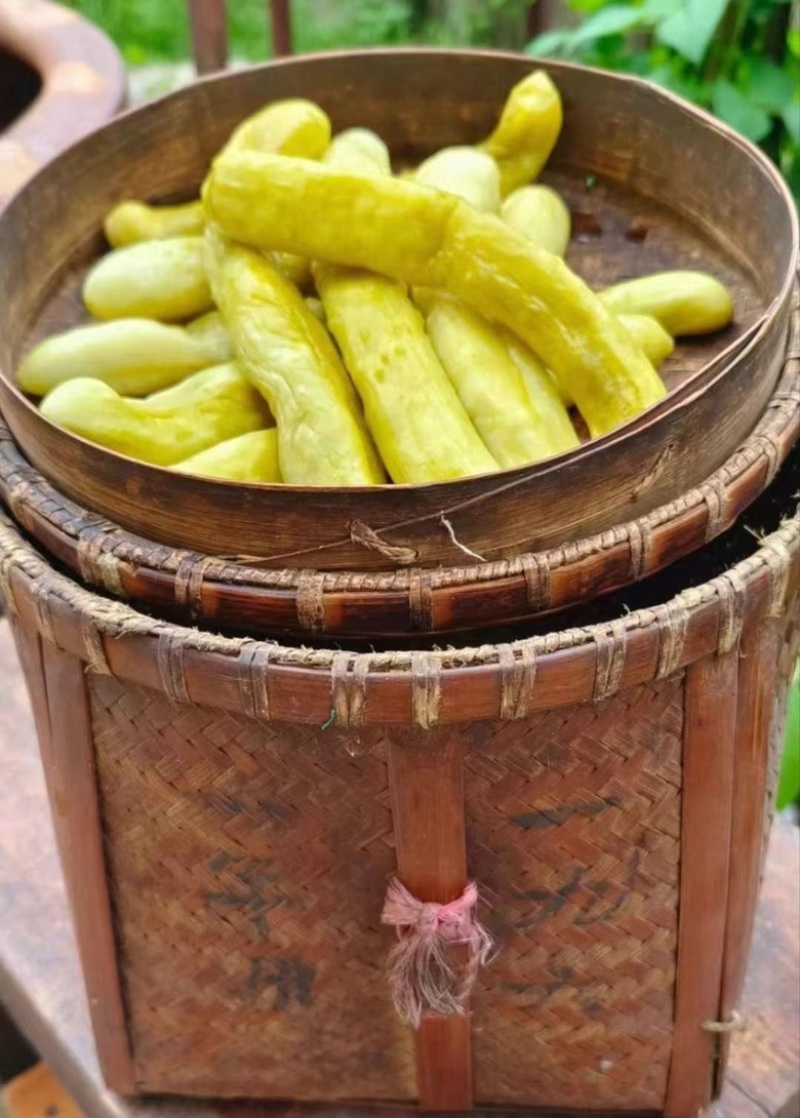 高山农家腌黄瓜批发