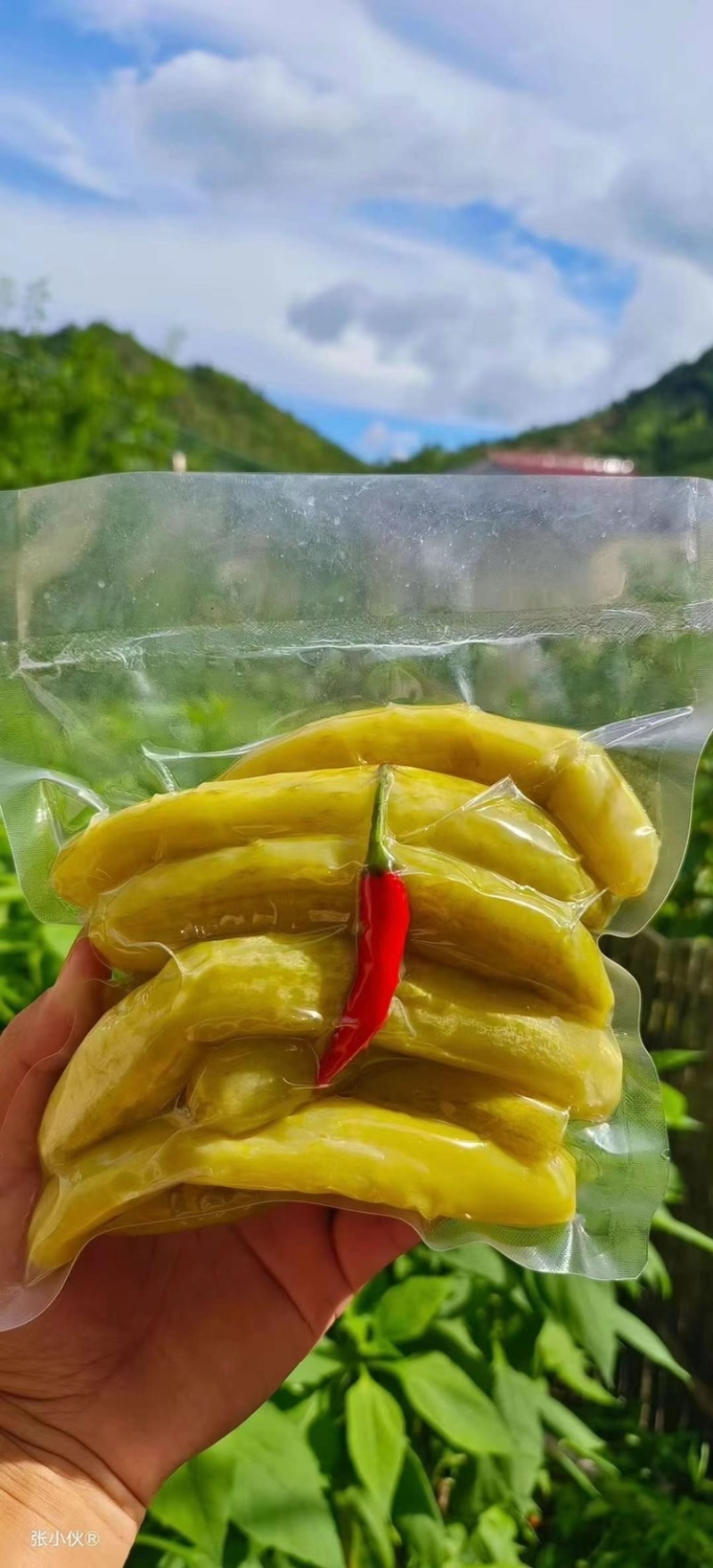 高山农家腌黄瓜批发
