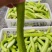 高山农家腌黄瓜批发