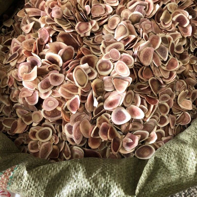 鹿角片泡酒正品批发整根切鹿角片吉林梅小花鹿茸骨片装