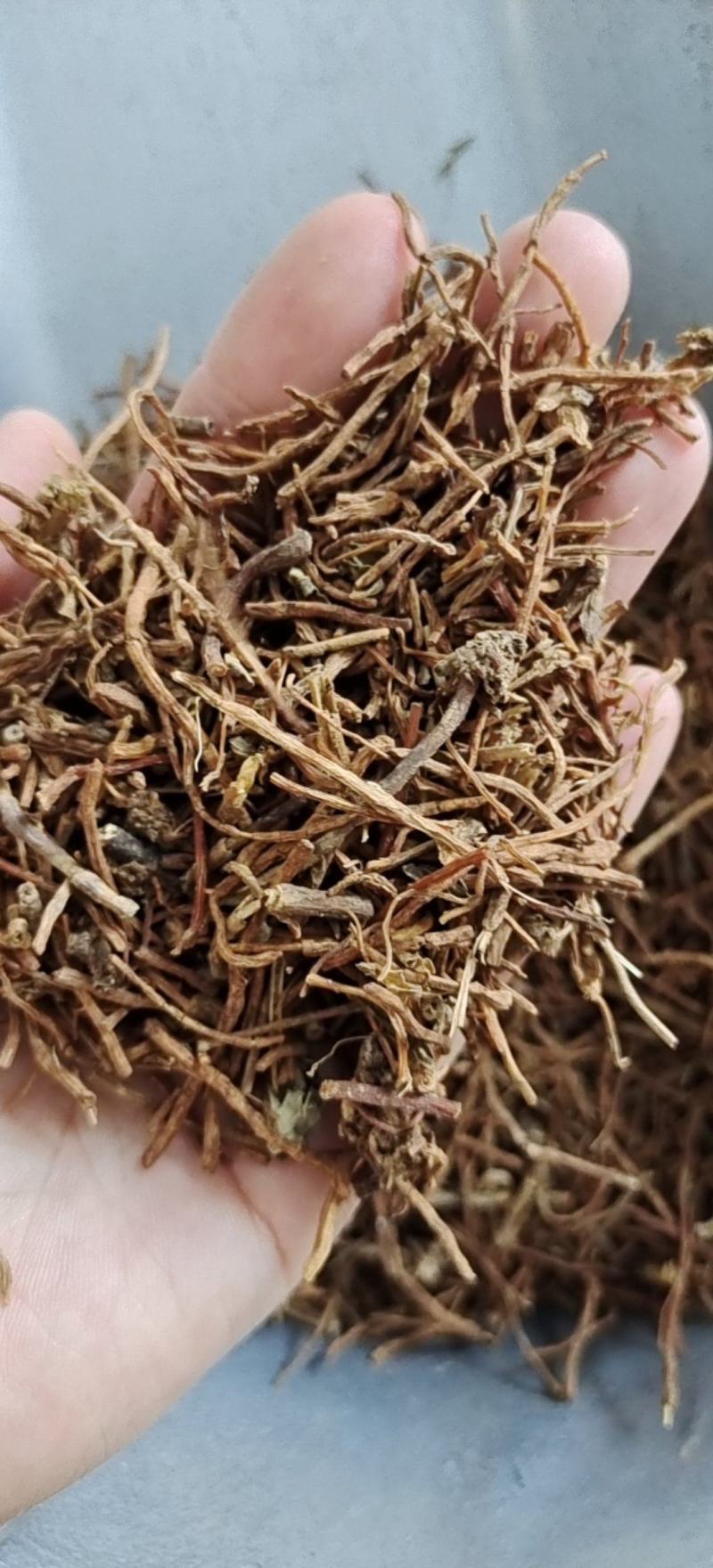 龙胆草龙胆草统货产地云南省地道药材紫轩堂药业