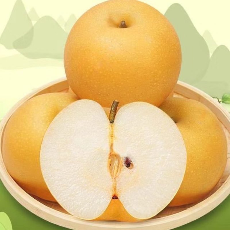 【精品】山东冠县丰水梨产地直供质优价廉，量大优惠