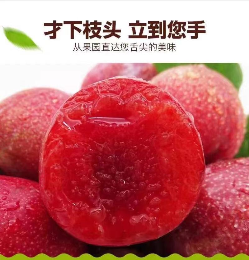 桃形李