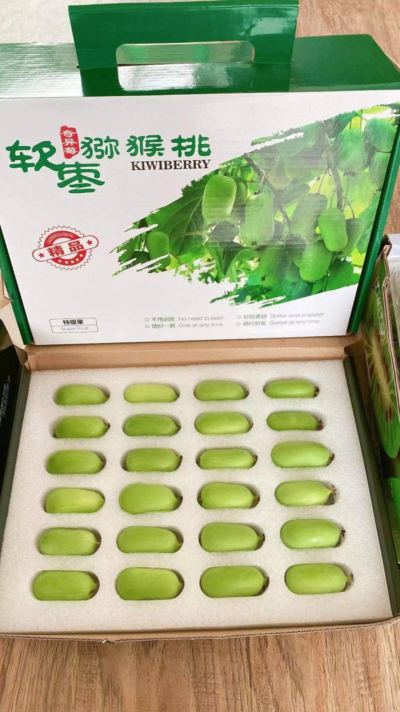 VC之冠，软枣猕猴桃