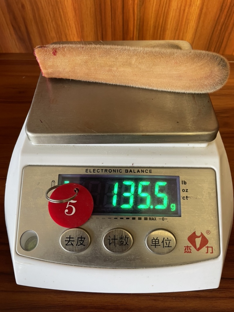 自家鹿场新割毛桃茸鹿生第一次长的茸就叫毛桃茸