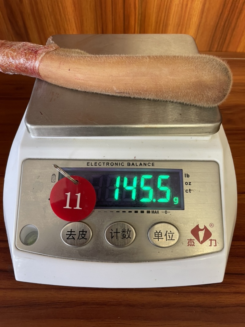 自家鹿场新割毛桃茸鹿生第一次长的茸就叫毛桃茸