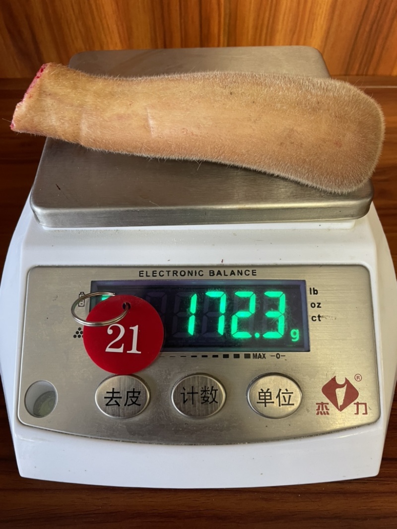 自家鹿场新割毛桃茸鹿生第一次长的茸就叫毛桃茸