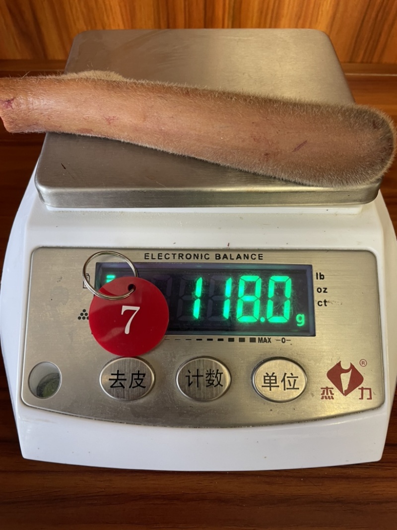自家鹿场新割毛桃茸鹿生第一次长的茸就叫毛桃茸