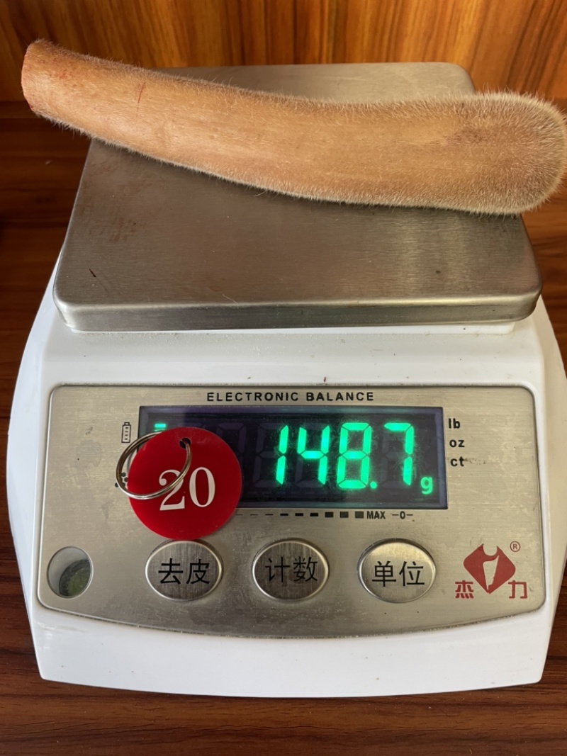 自家鹿场新割毛桃茸鹿生第一次长的茸就叫毛桃茸