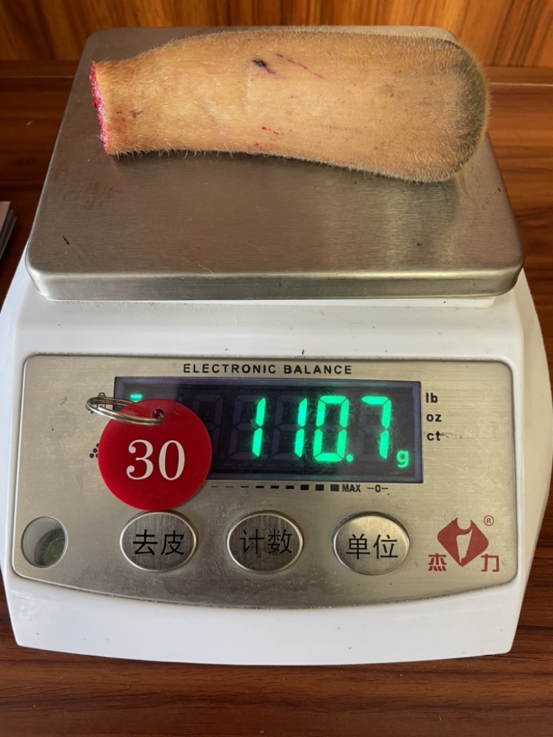 自家鹿场新割毛桃茸鹿生第一次长的茸就叫毛桃茸