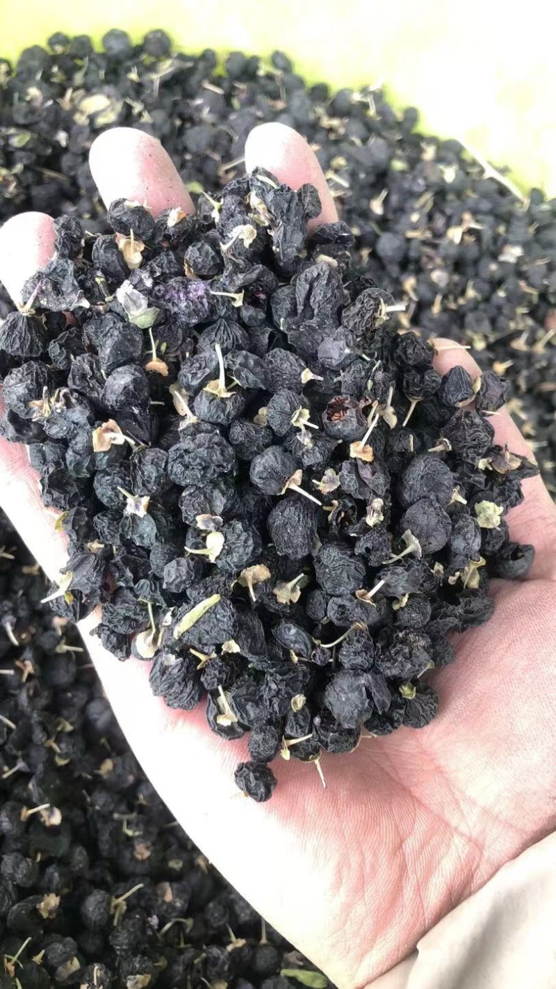 青海柴达木盆地精品黑枸杞，精选大果，粒粒大颗粒，沙地枸杞
