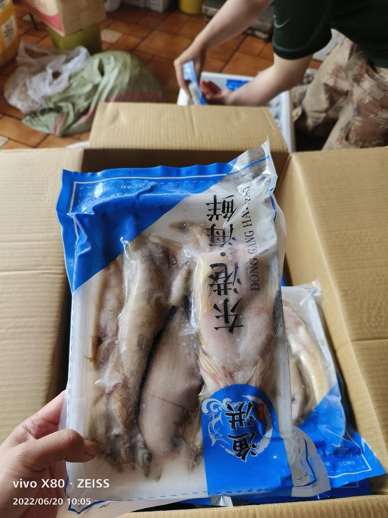海杂鱼去脏杂鱼带鱼产地生产酒店加工食材杂鱼原料