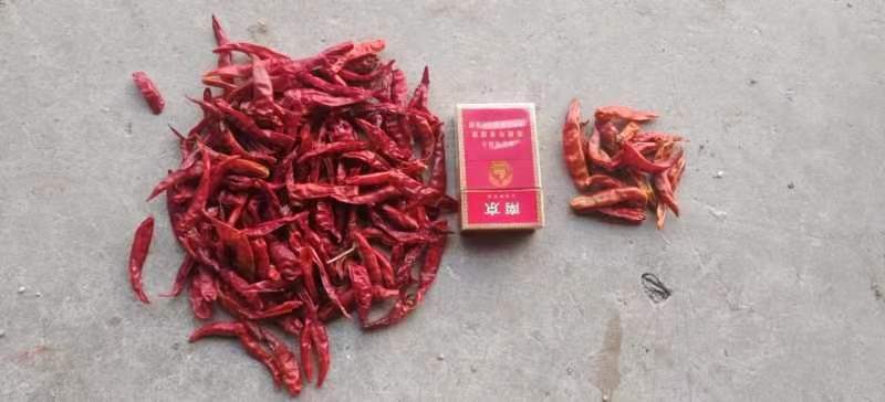 小米辣