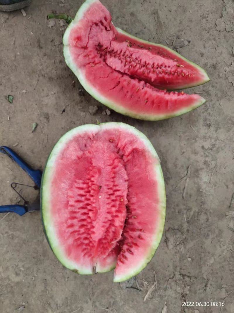 新全拳大量现货