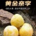 湖南汝城黄金奈李