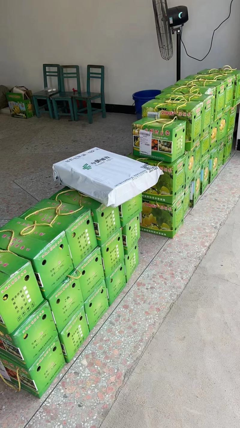 湖南汝城黄金奈李