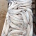 新鲜海捕速冻沙丁鱼沙丁鱼无鳞沙丁鱼鲜