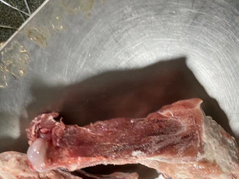 帕特尔后腿骨实图，13000元一吨，吨起