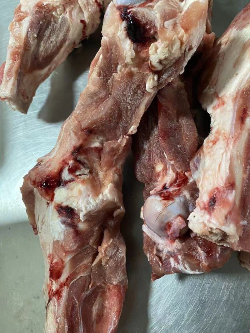 帕特尔后腿骨实图，13000元一吨，吨起