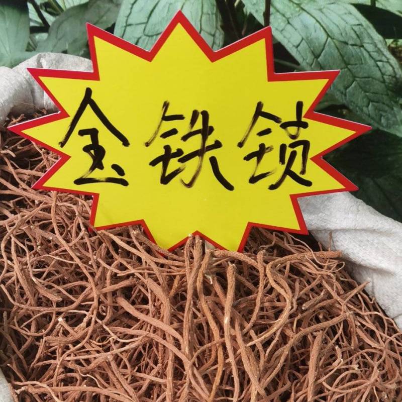 【金铁锁】独定子干货/现货现发