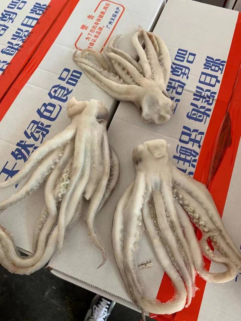 新鲜冷冻鱿鱼须鲜冻水产鱿鱼头鱿鱼须烧烤鱿鱼爪8斤