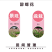 醉蝶花种子四季易种活阳台绿植盆栽庭院花卉种子花种子醉蝶花