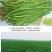 新鲜红薯叶地瓜梗长寿菜小孩辅食山芋梗香薯叶农家种植新鲜蔬