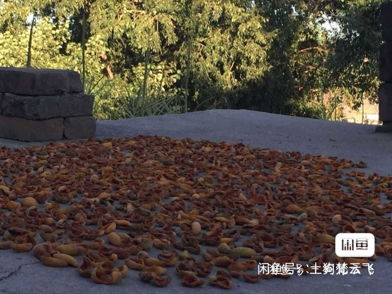 2022新杏干农家自制，酸甜可口，自然烘晒，绝对无公害