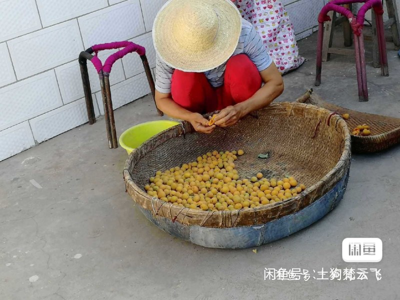 2022新杏干农家自制，酸甜可口，自然烘晒，绝对无公害