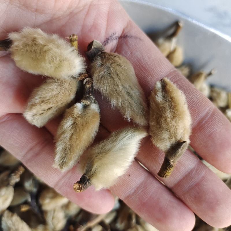 辛夷辛夷大桃统货产地河南省地道药材紫轩堂药业