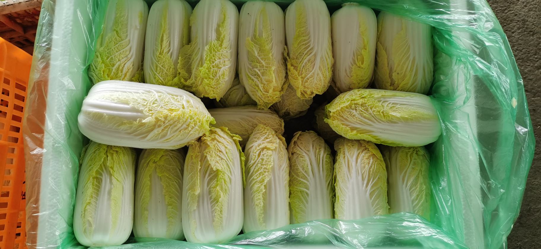 新鲜娃娃菜在超市货架上整齐摆放