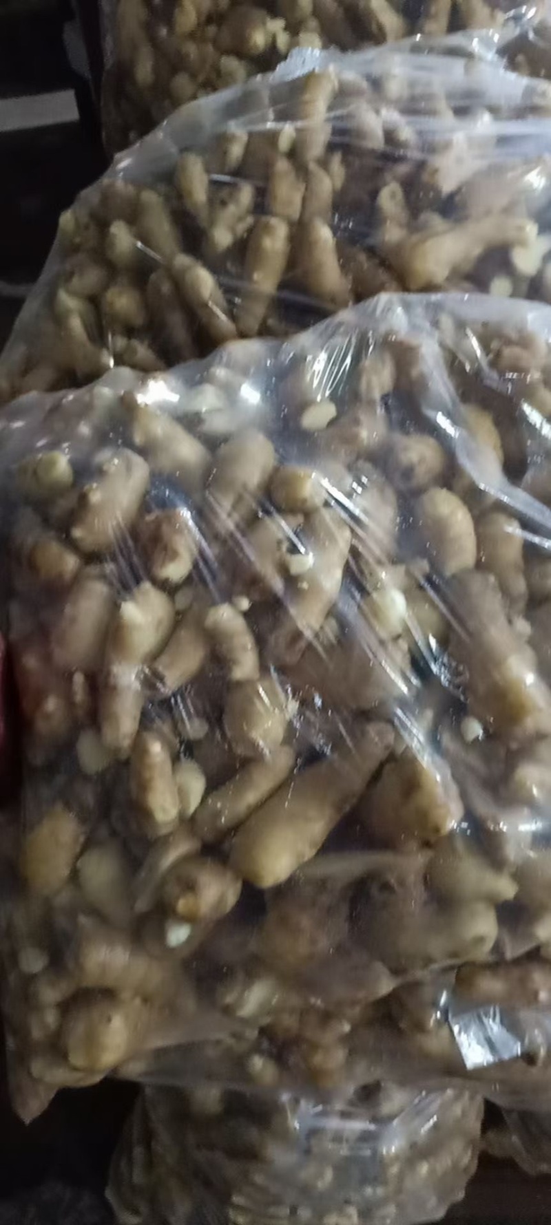 安丘大姜姜吧调料姜大量有货产地直销一手货源质量保证
