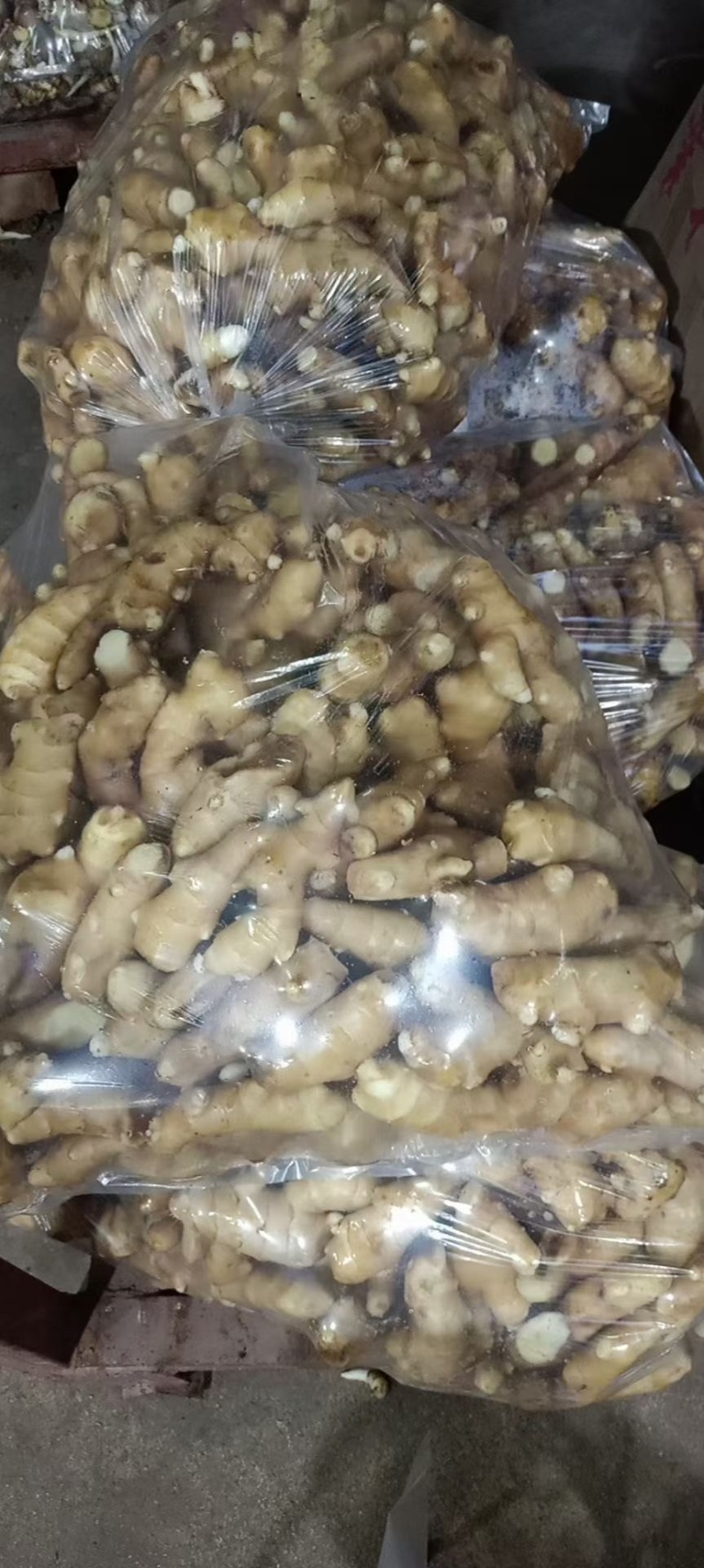 安丘大姜姜吧调料姜大量有货产地直销一手货源质量保证