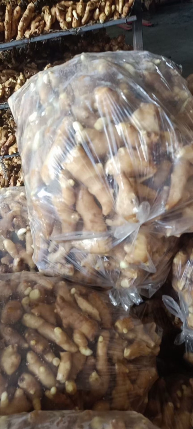 安丘大姜姜吧调料姜大量有货产地直销一手货源质量保证
