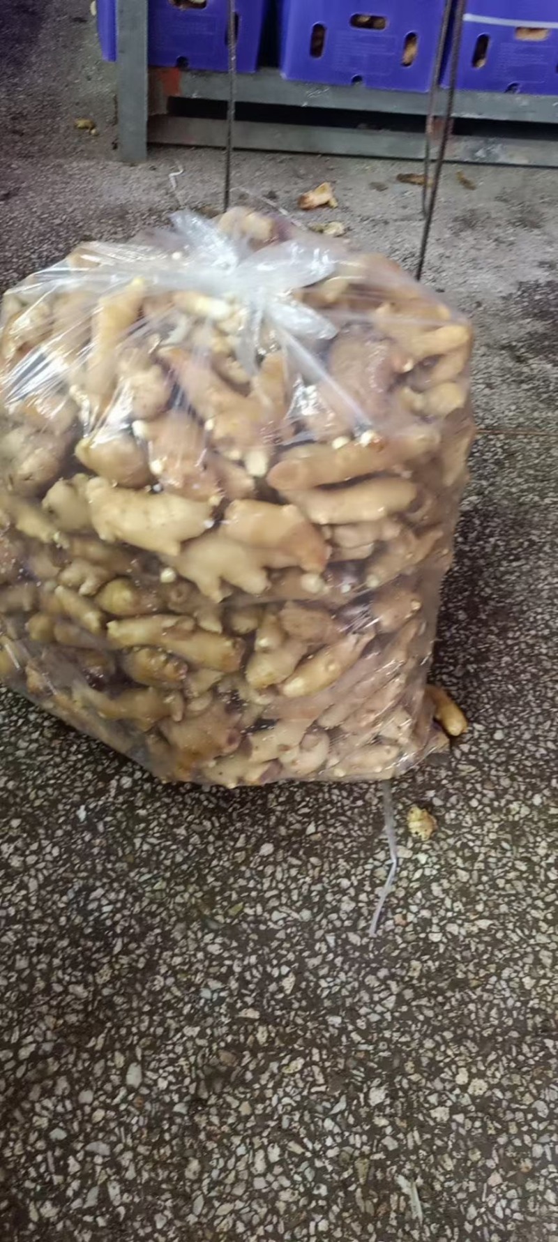 安丘大姜姜吧调料姜大量有货产地直销一手货源质量保证