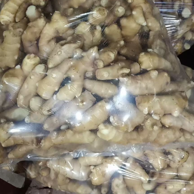 安丘大姜姜吧调料姜大量有货产地直销一手货源质量保证