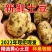 土豆/希森土豆/开封通许土豆/产地发货新品上市