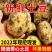 土豆/希森土豆/开封通许土豆/产地发货新品上市