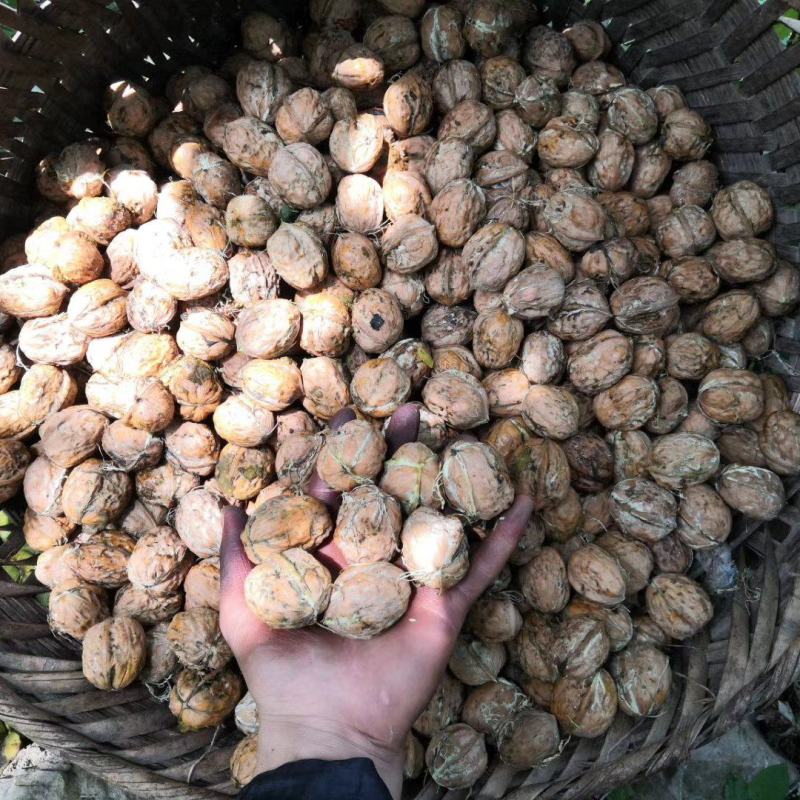 大优一号，核桃，特别香，无添加