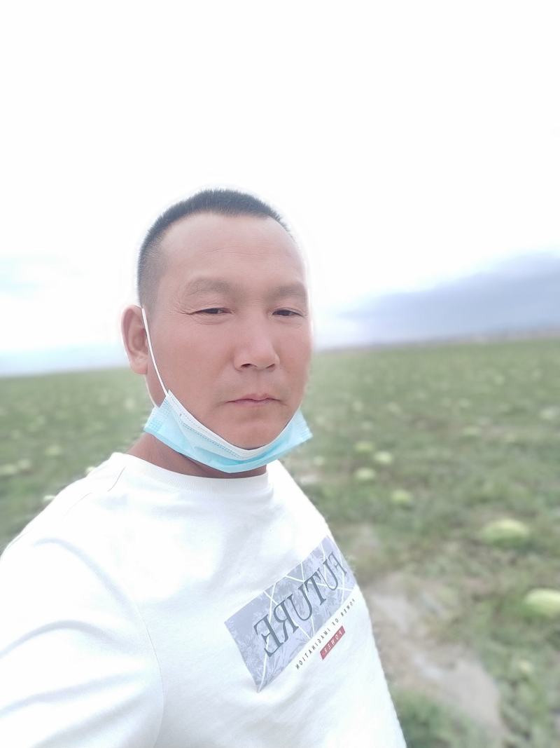 宁夏兴仁沙坡头石头瓜，双红瓤甜度十三四个，皮帽干净漂亮