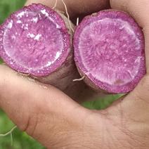 卖红薯一紫薯