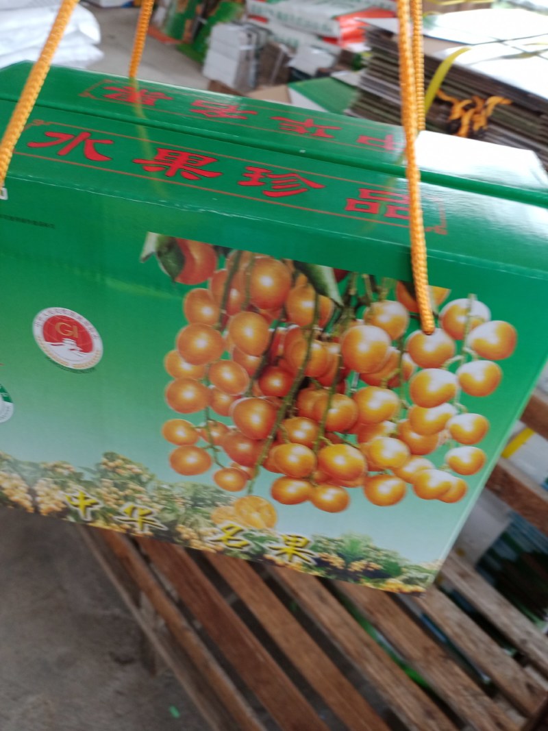 正宗广东郁南无核黄皮
